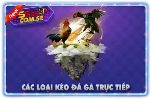 Các Loại Kèo Đá Gà Trực Tiếp Tại ST666