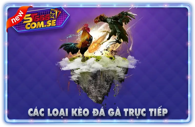 Các Loại Kèo Đá Gà Trực Tiếp Tại ST666