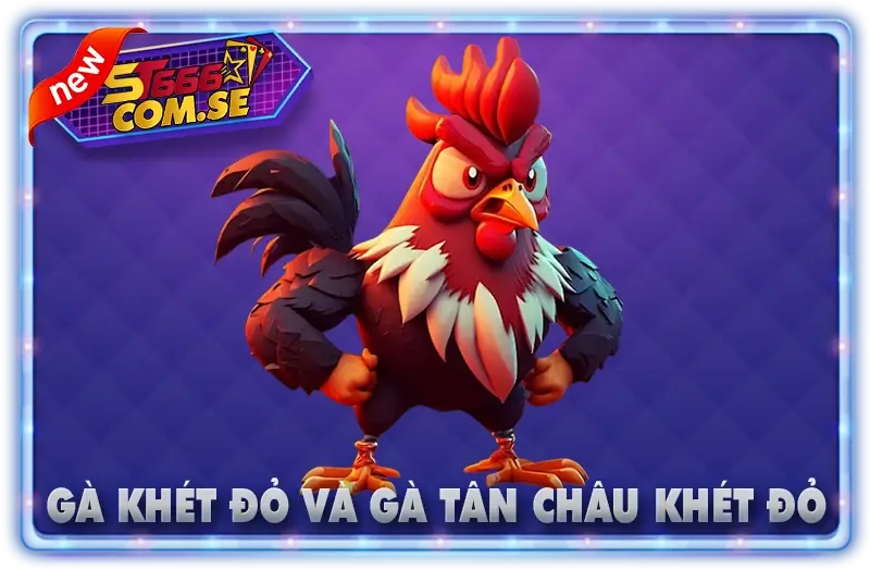Gà Khét Đỏ Và Gà Tân Châu Khét Đỏ ST666