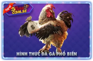 Hình Thức Đá Gà Phổ Biến