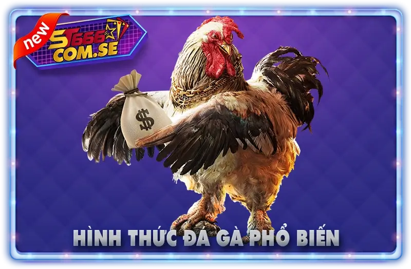 Hình Thức Đá Gà Phổ Biến