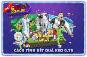 Kèo 0.75 Tài Xỉu Tính Kết Quả Như Thế Nào